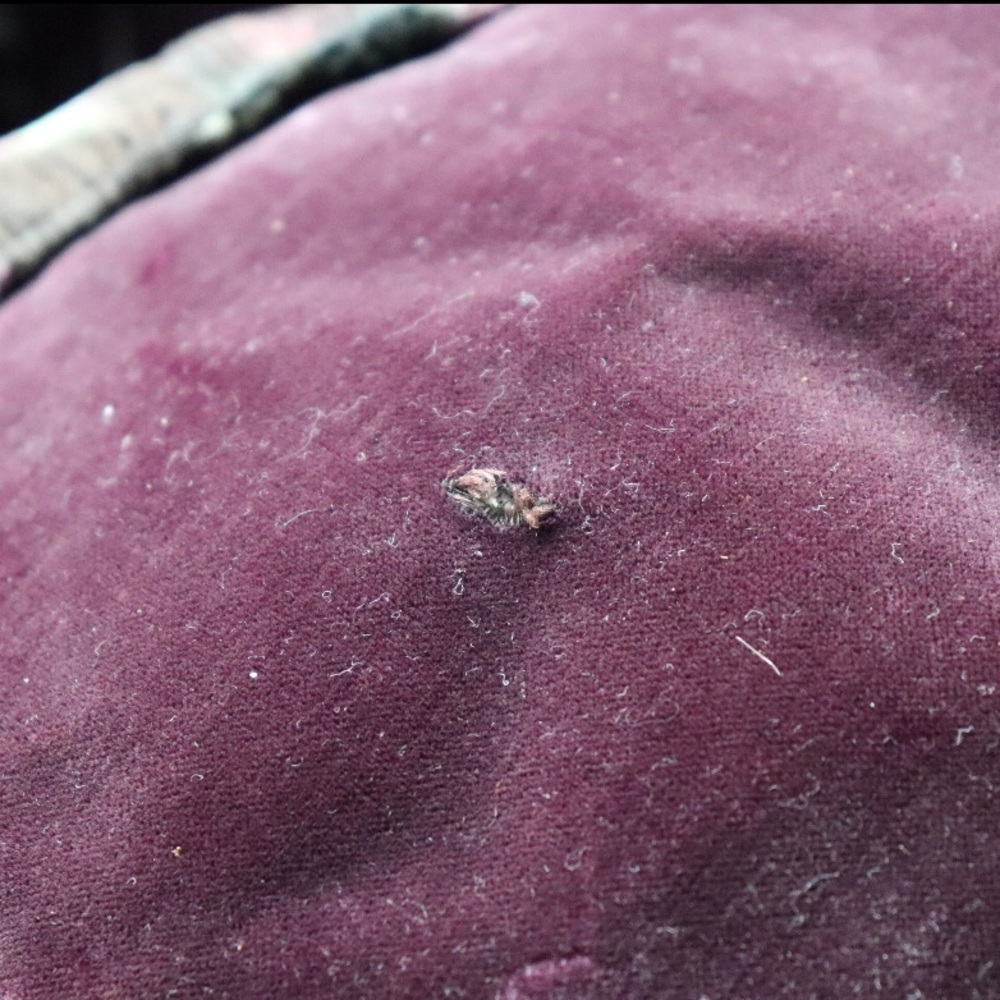 Antique Edwardian Purple Velvet Hat with Ostrich Feather - Picture 4 of 5